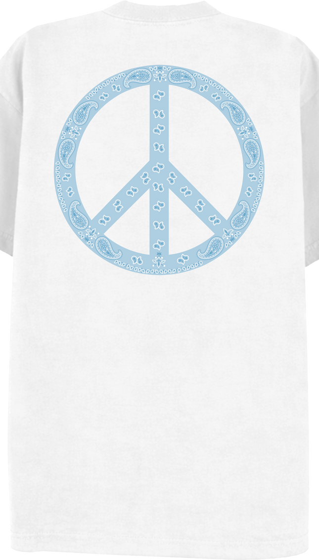 Paisley Peace T Shirt Baby Blue – adult printed t-shirt by Miss Runway